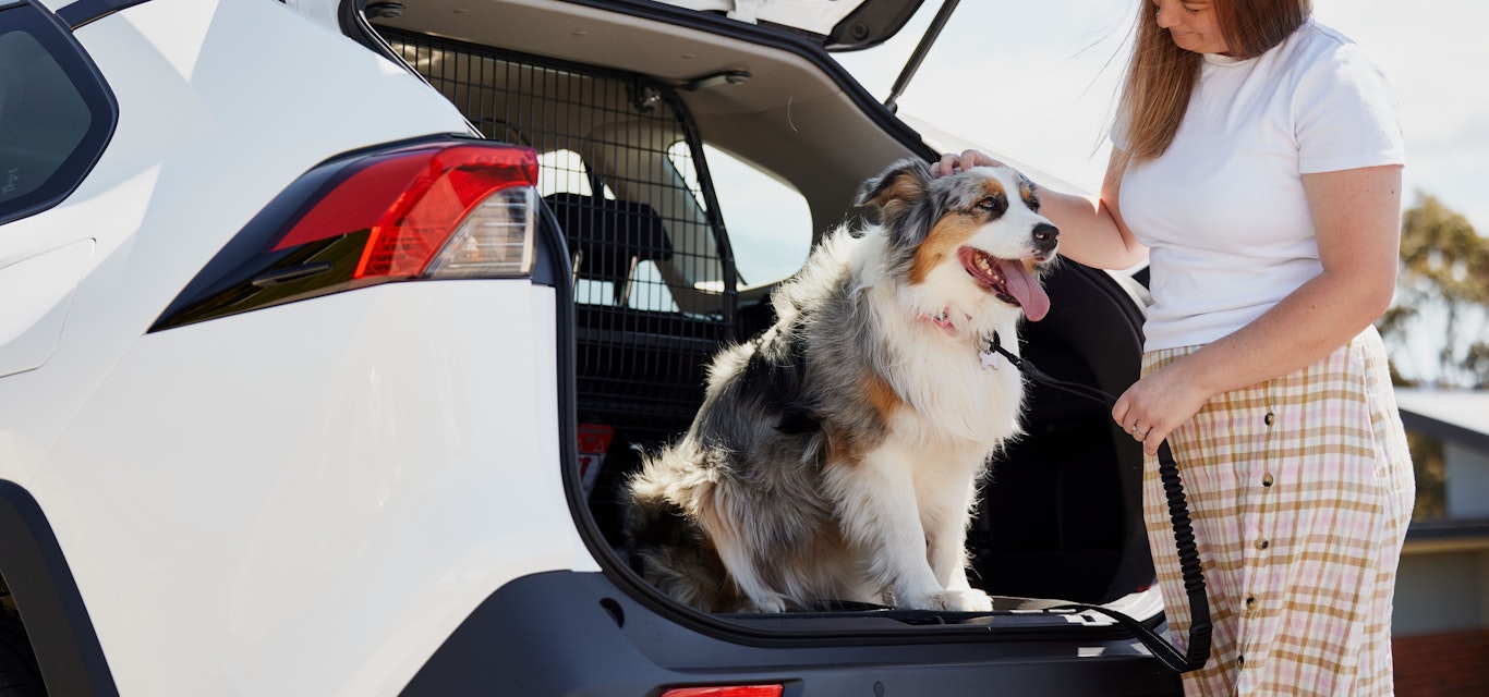 Woman putting dog in the back of a car