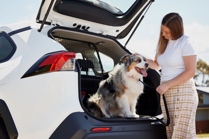 Woman putting dog in the back of a car