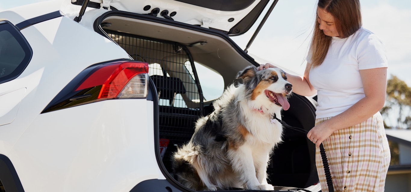 Woman putting dog in the back of a car