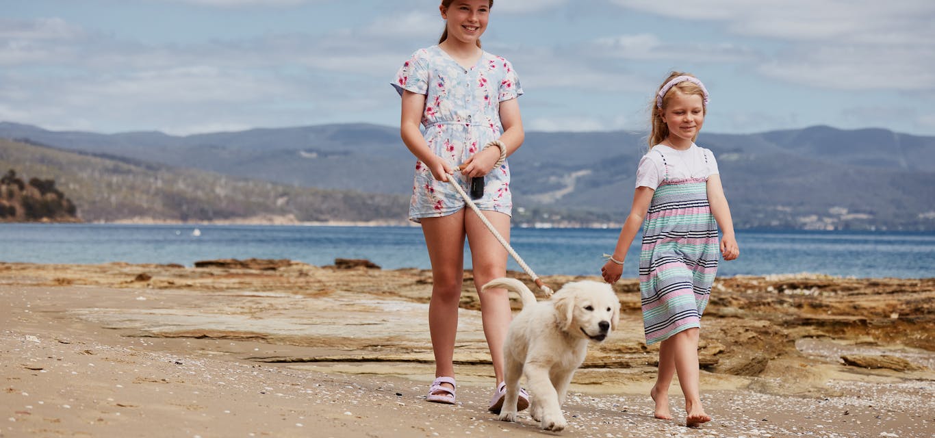 Young girls walking golden retriever puppy on beach