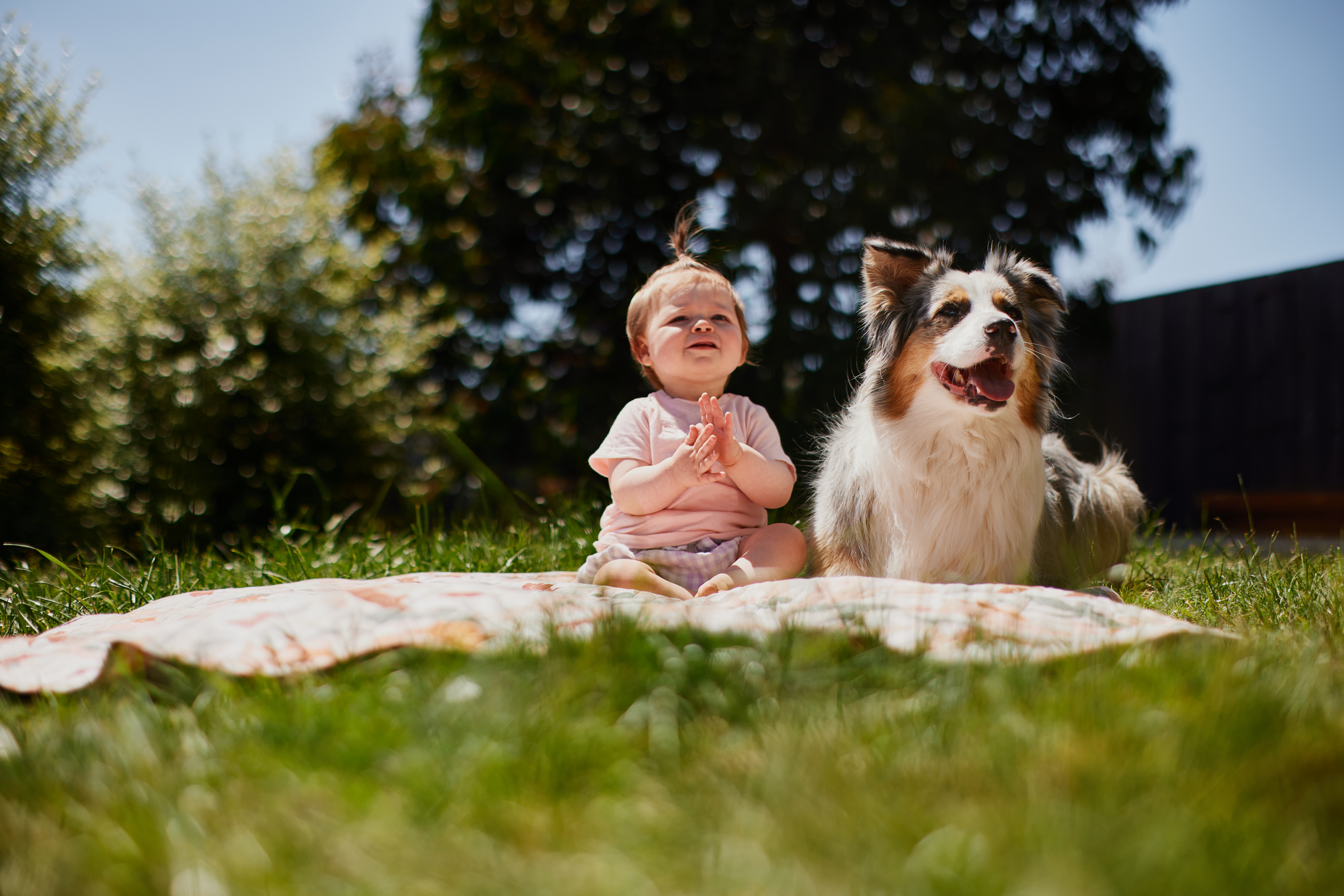 Toddler and dog sitting on the lawn outside