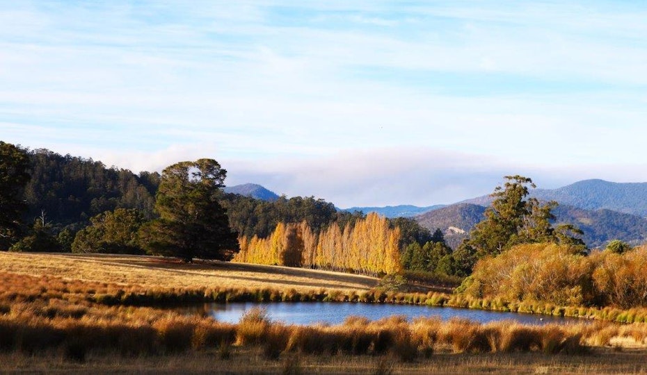 Autumn evening on Braeside, Franklin