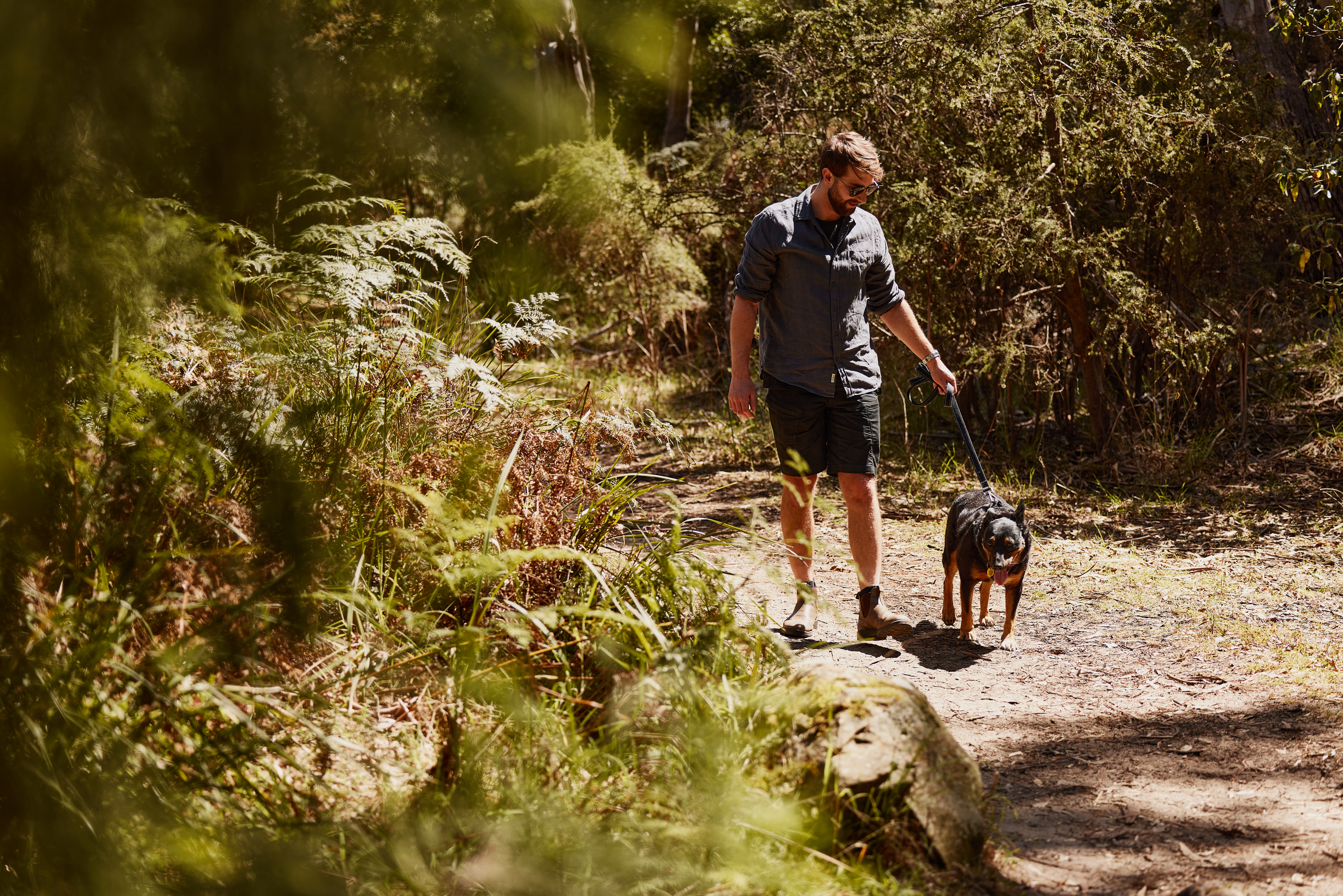 Man walking dog along a bush track
