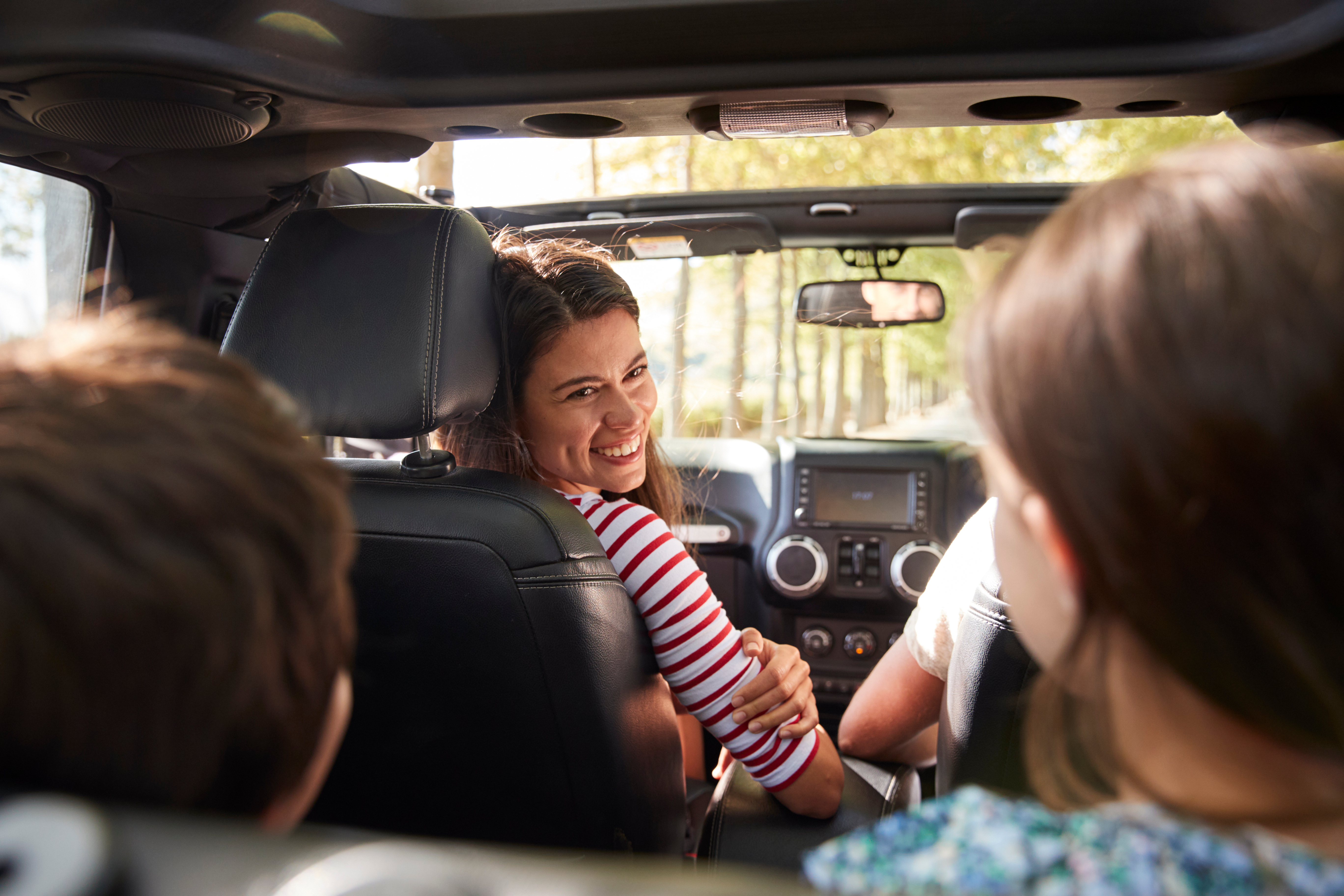 Family in the car