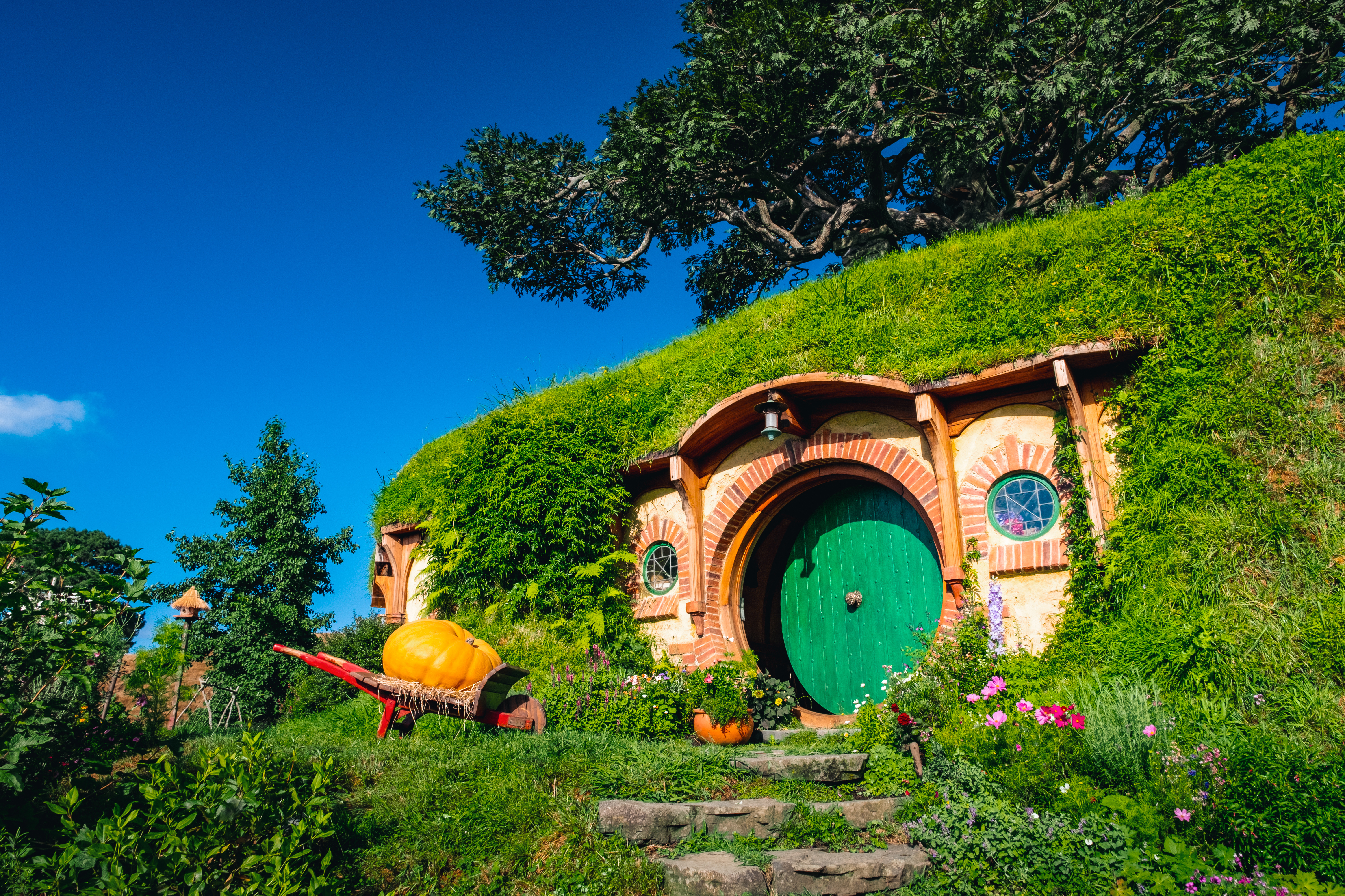Hobbiton film set, with doorway in hill and pumpkin outside.