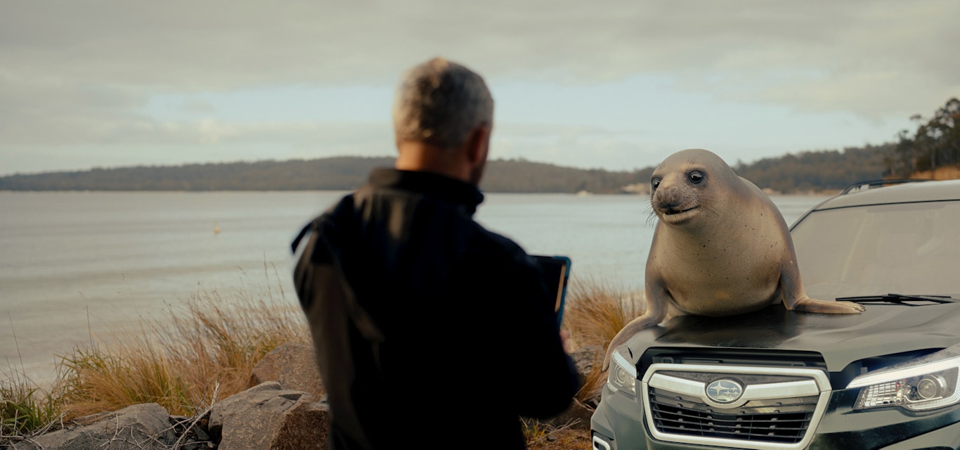 Insurance products – RACT