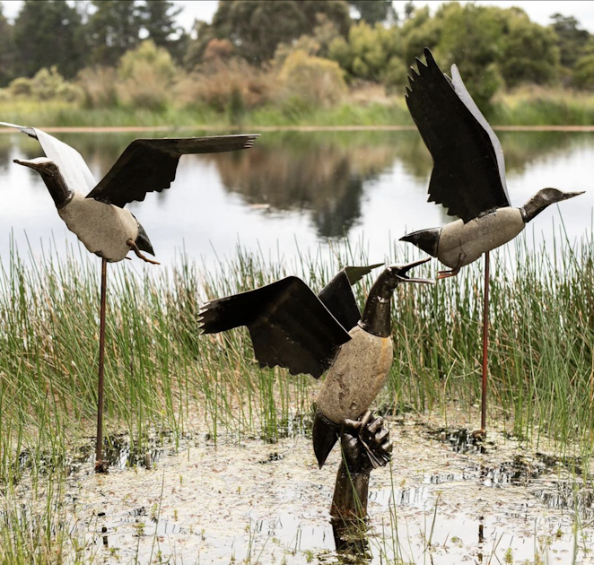 Take a leisurely stroll through Art Farm Birch's Bay