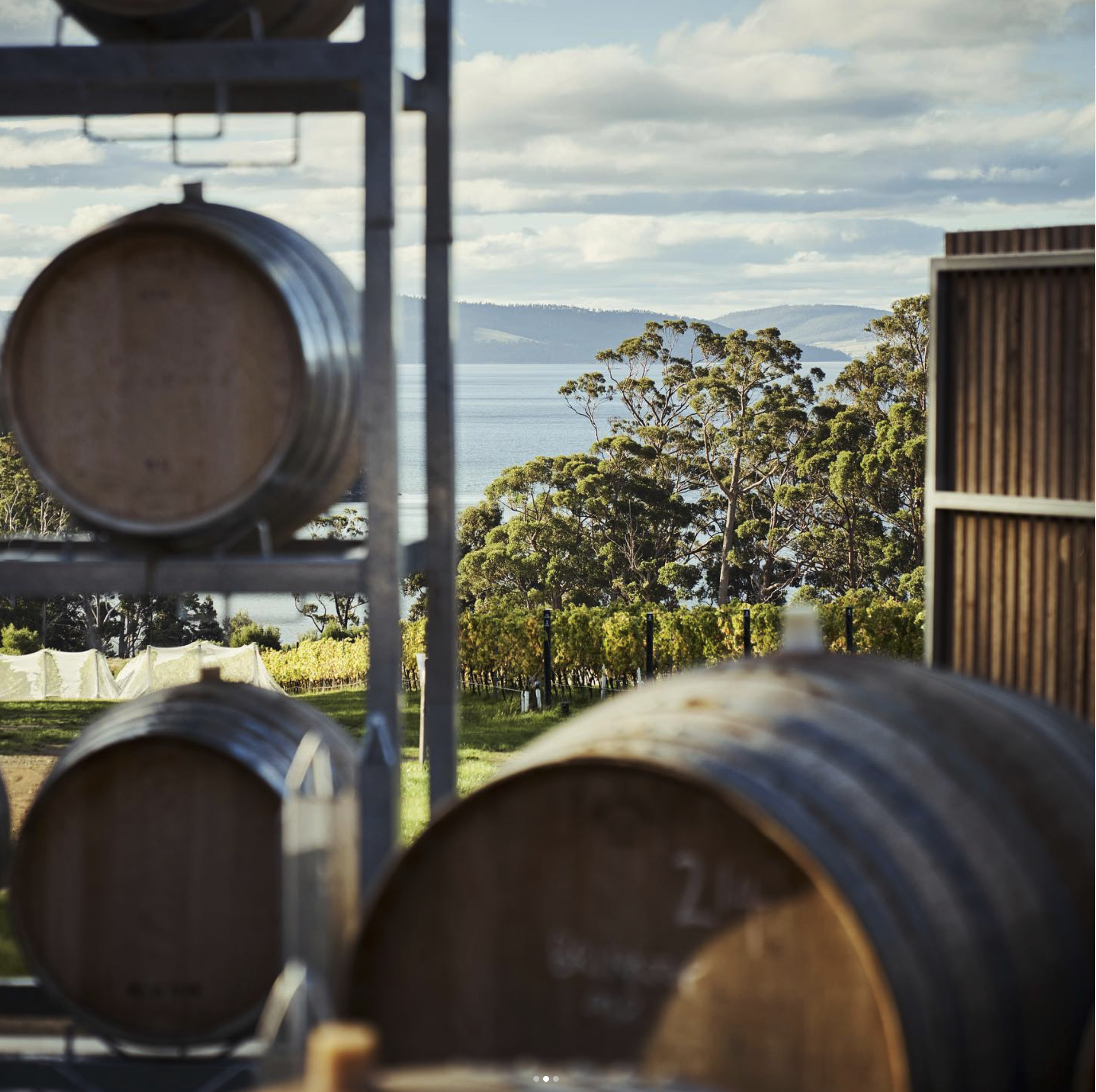 Water and island views at Mewstone's cellar door
