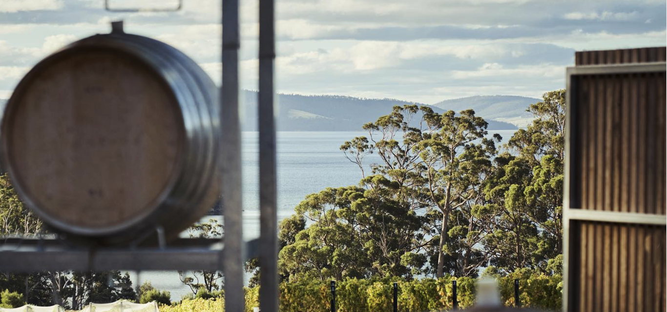 Water and island views at Mewstone's cellar door Water and island views at Mewstone's cellar door