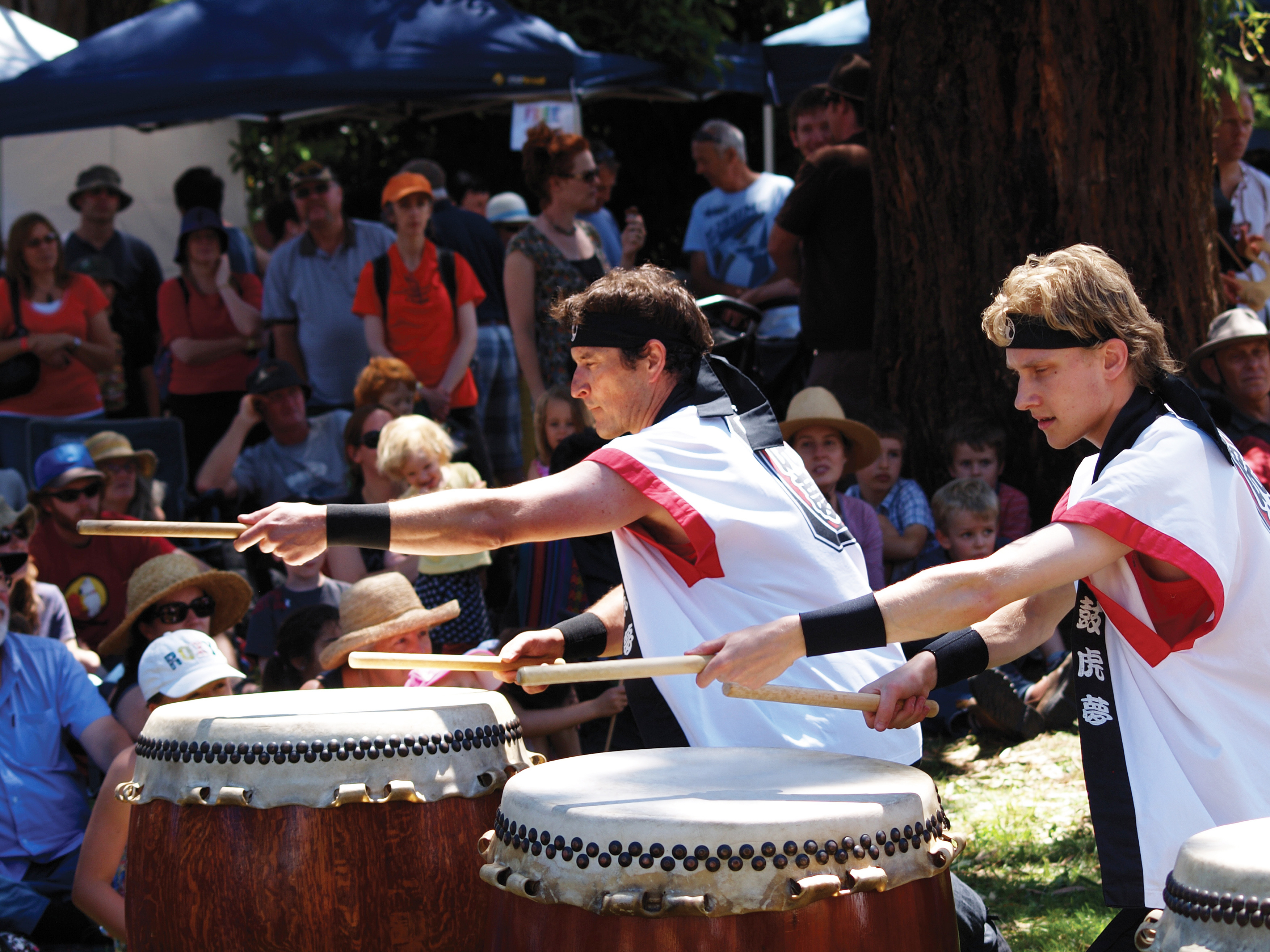 Musicians at the Cygnet Folk Festival