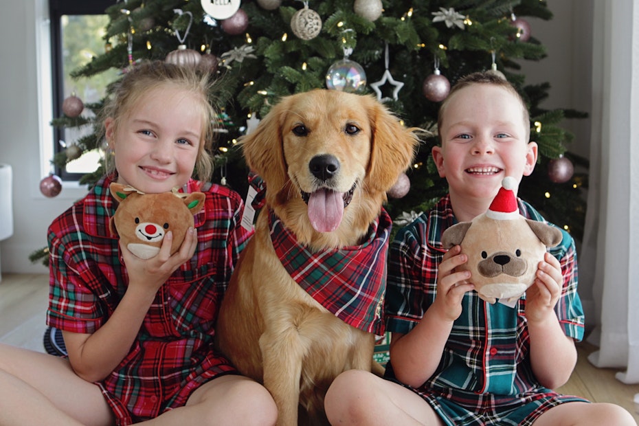Children and dog dressed up in Christmas clothing