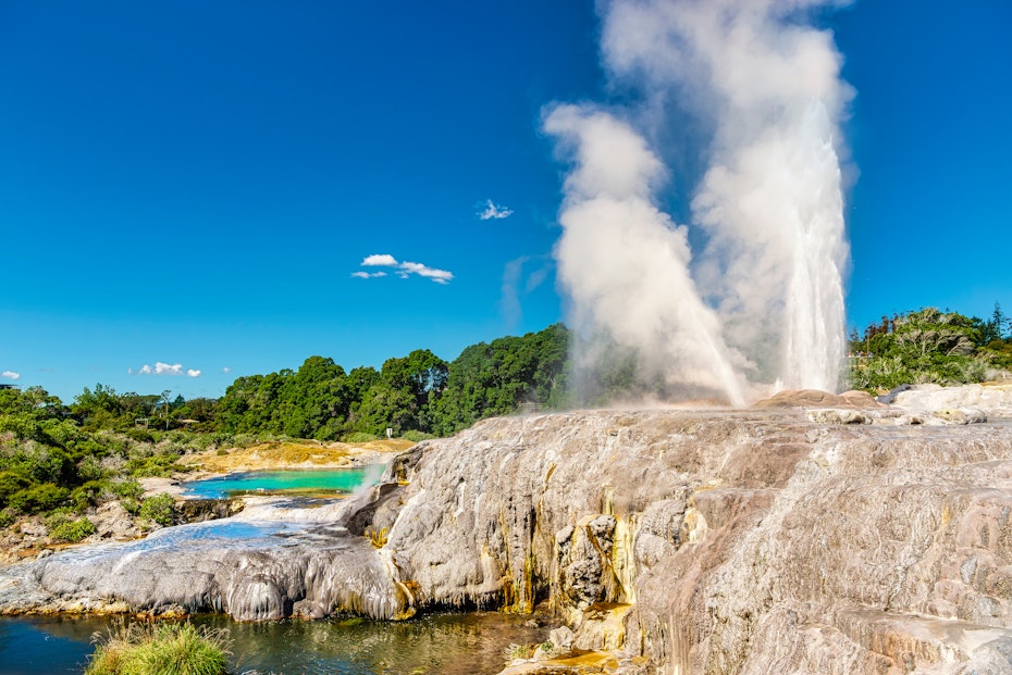 Te Puia Geyser in Rotorua