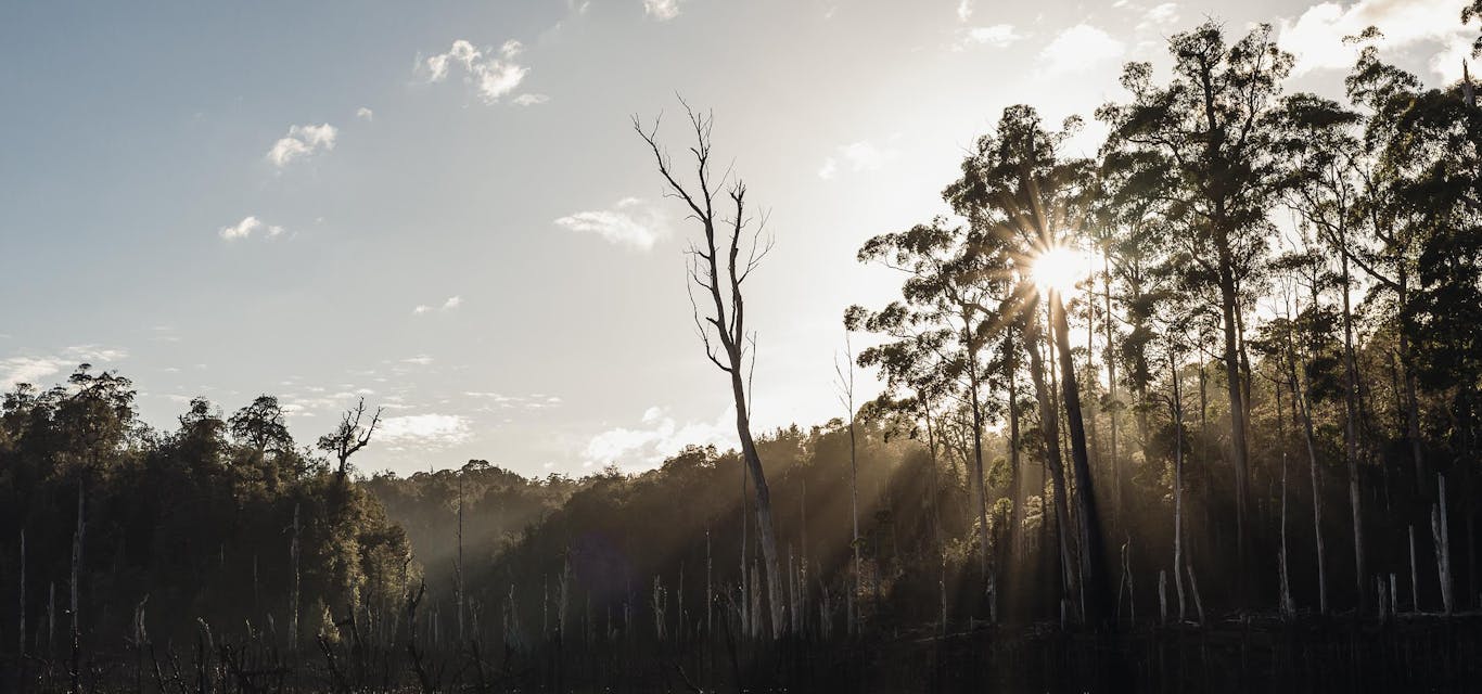 Central Highlands