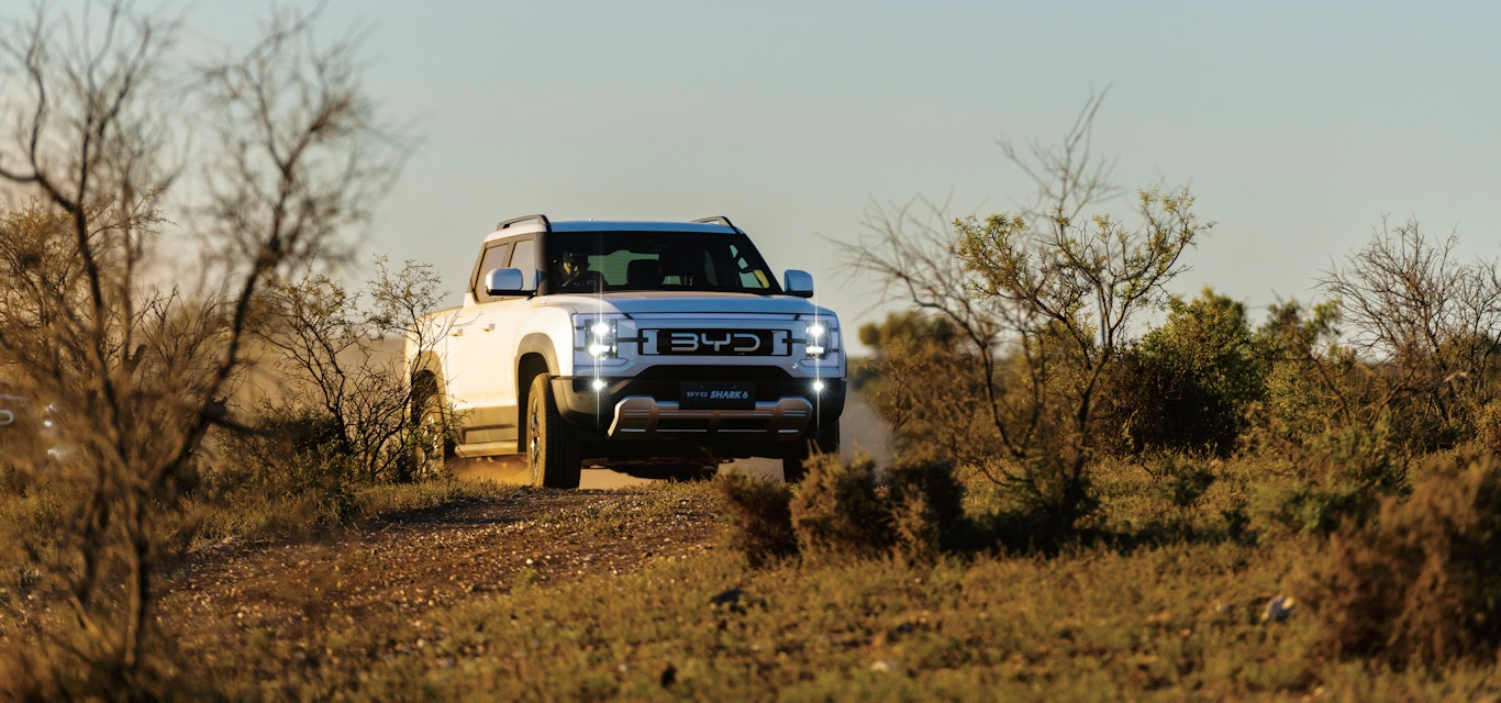 The versatile Shark 6