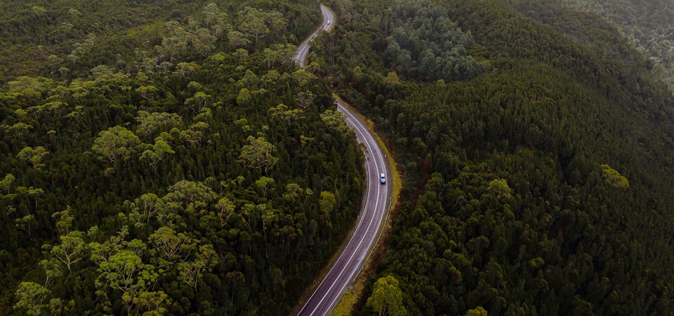 Anthony Road, West Coast