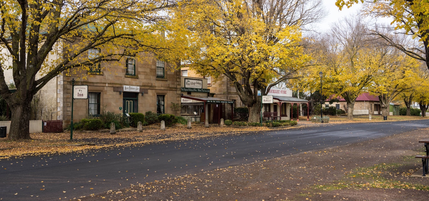 Vibrant autumn colors line its heritage-rich streets