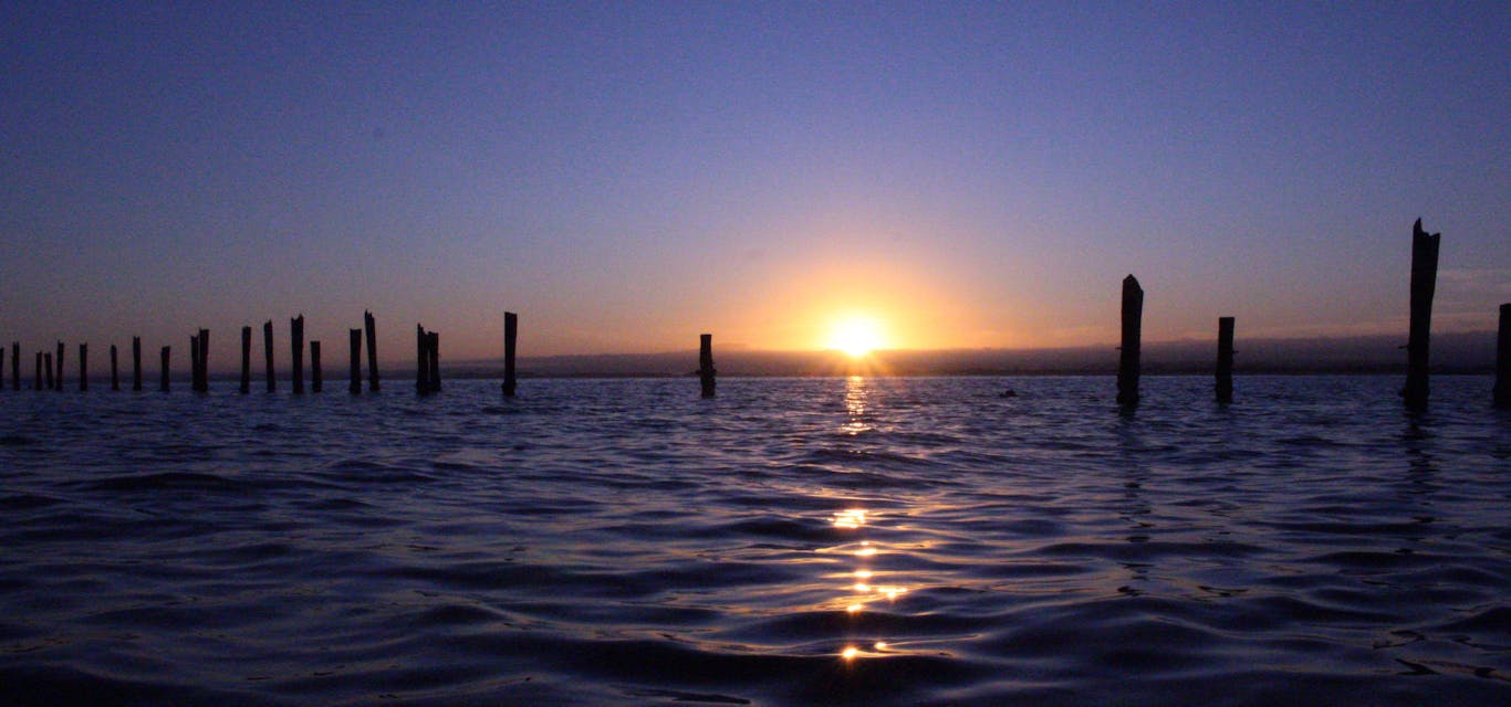 14-year-old Ben Vieth took this gorgeous picture at Bridport