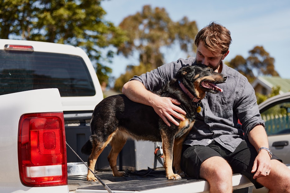 Dog sitting with man in the back of a car
