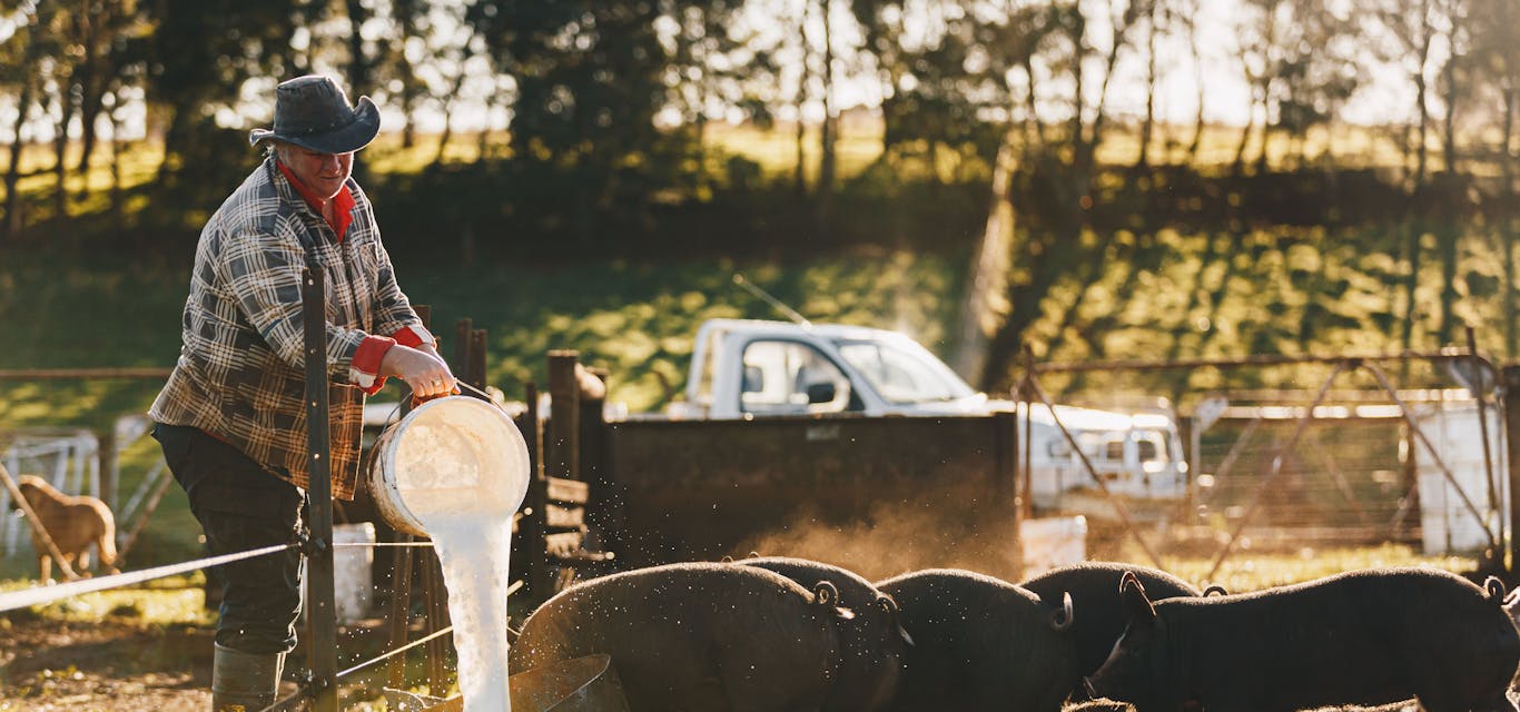 Fork It Farm