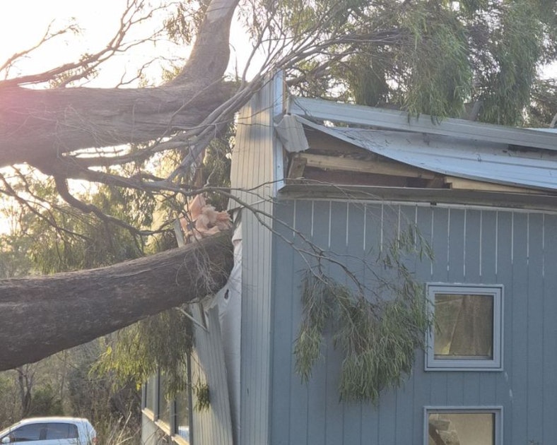 Tree impacted home in Dilson 2024