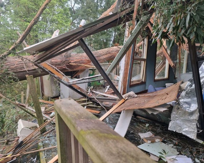 Tree through home at Sisters Beach