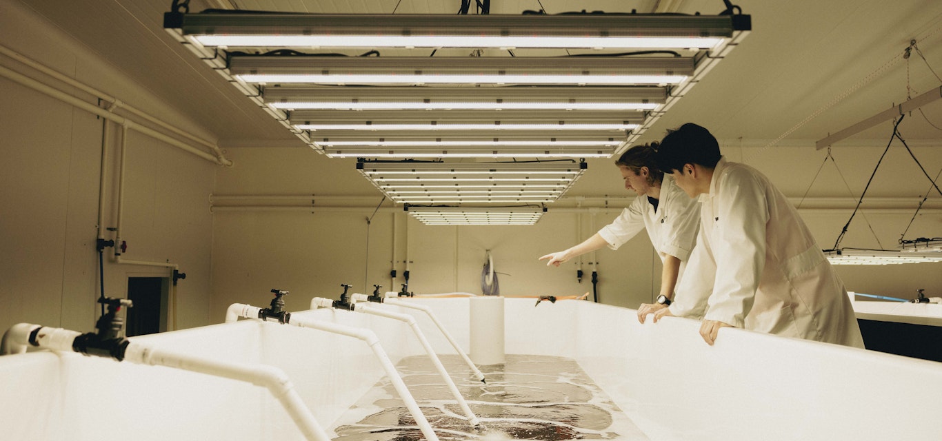 Dr Masa Tatsumi at a Sea Forest laboratory.