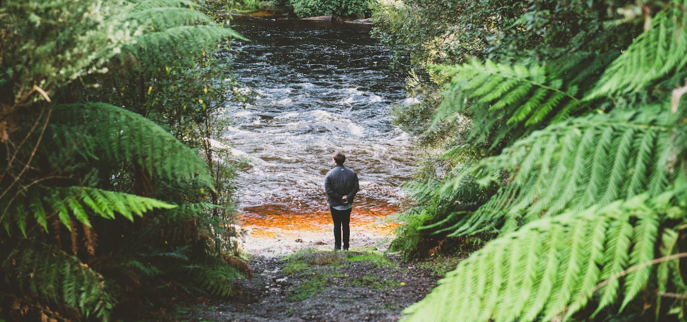 The Franklin River nature trail is leafy and secluded.