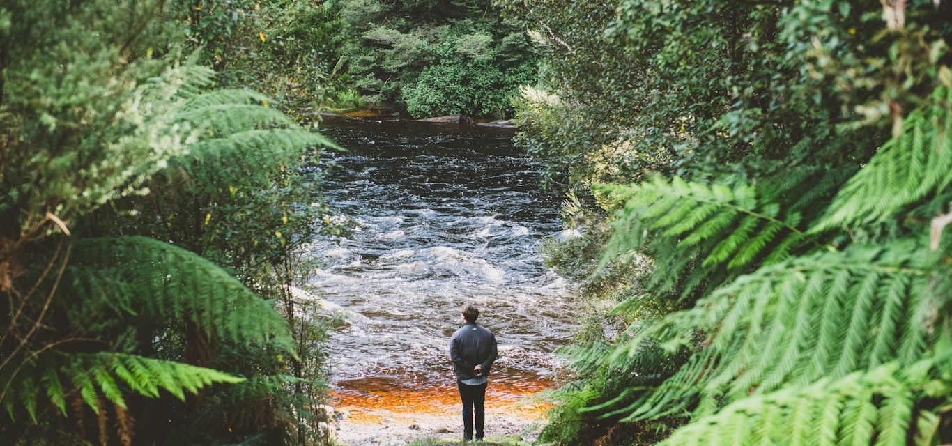 The Franklin River nature trail is leafy and secluded.