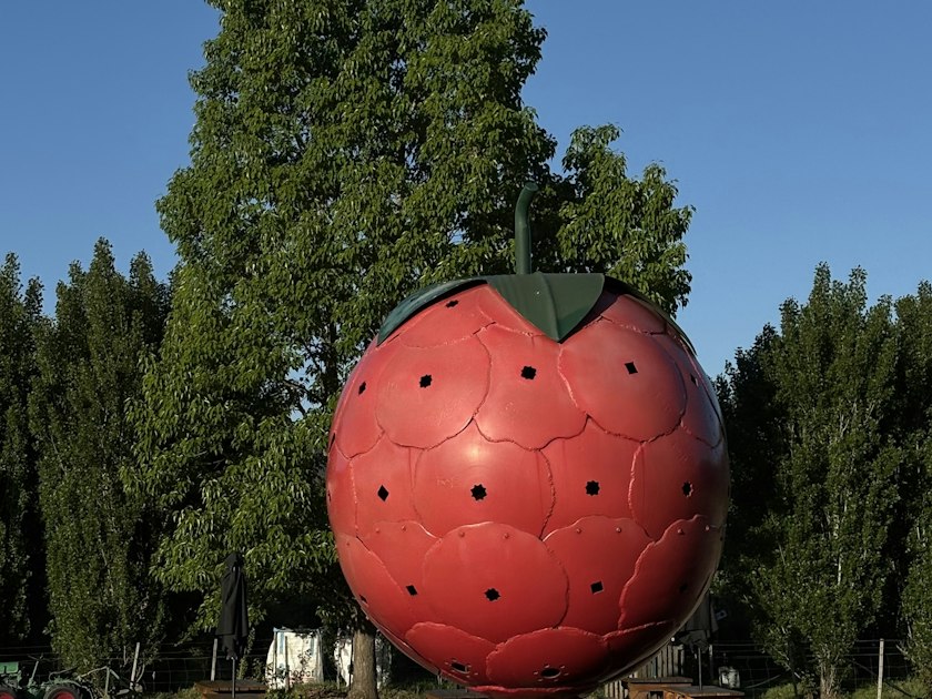 The best fruit-picking destinations in Tasmania for berries, apples and ...
