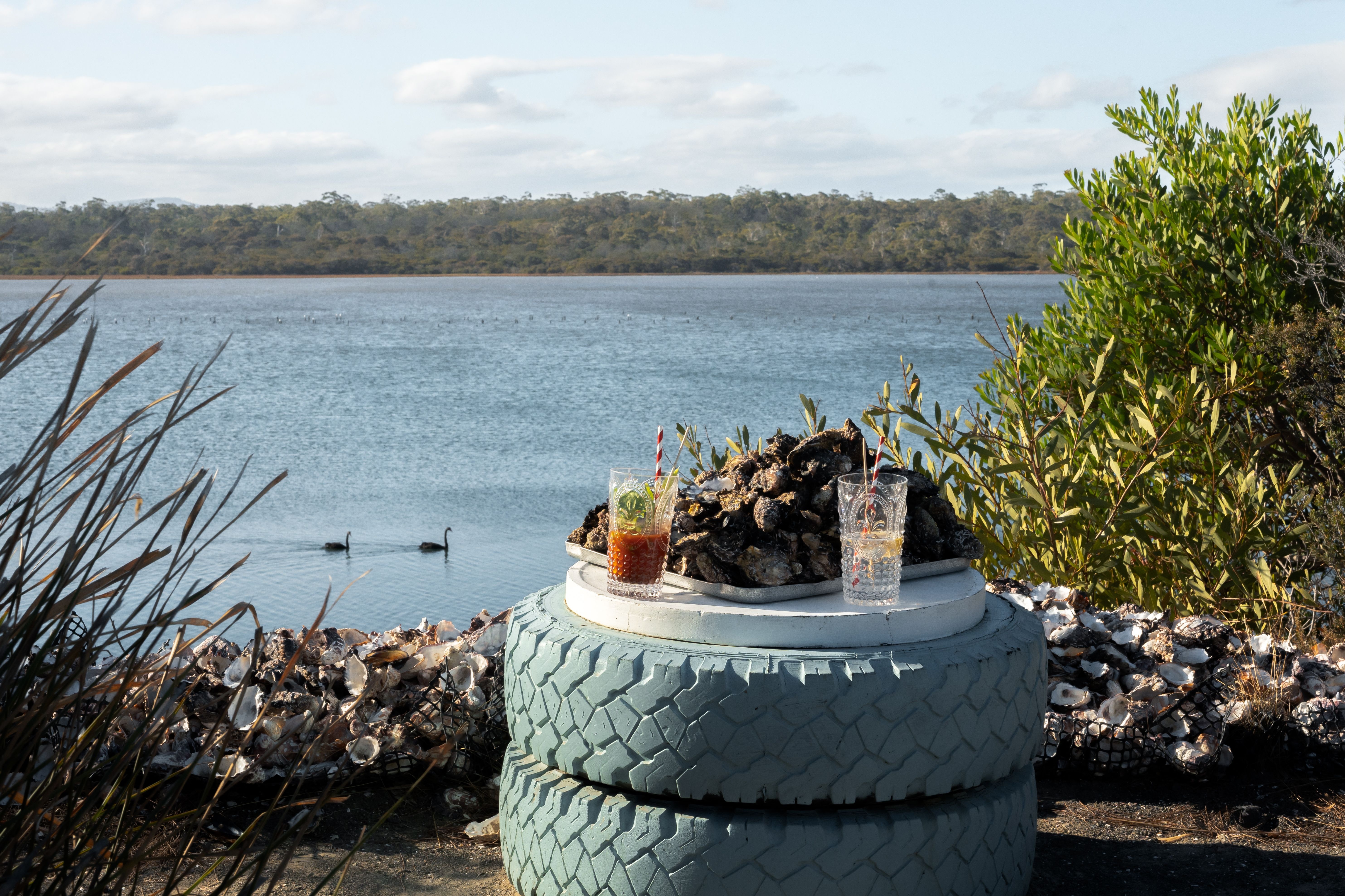 Oysters and drinks are presented on a table made of painted tyres, with a view of water and swans in the background