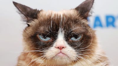 Test Gallery - Patient 29764592 - Image 1