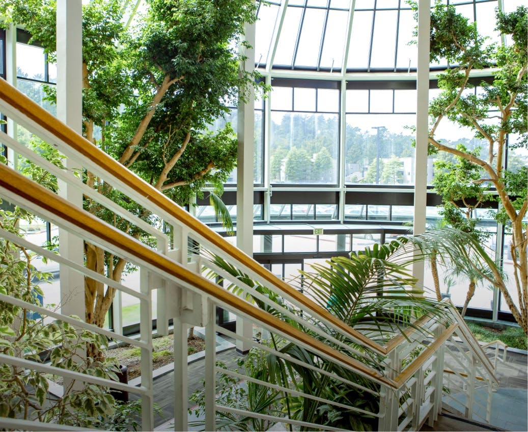 facility for hyperbaric medicine in san francisco