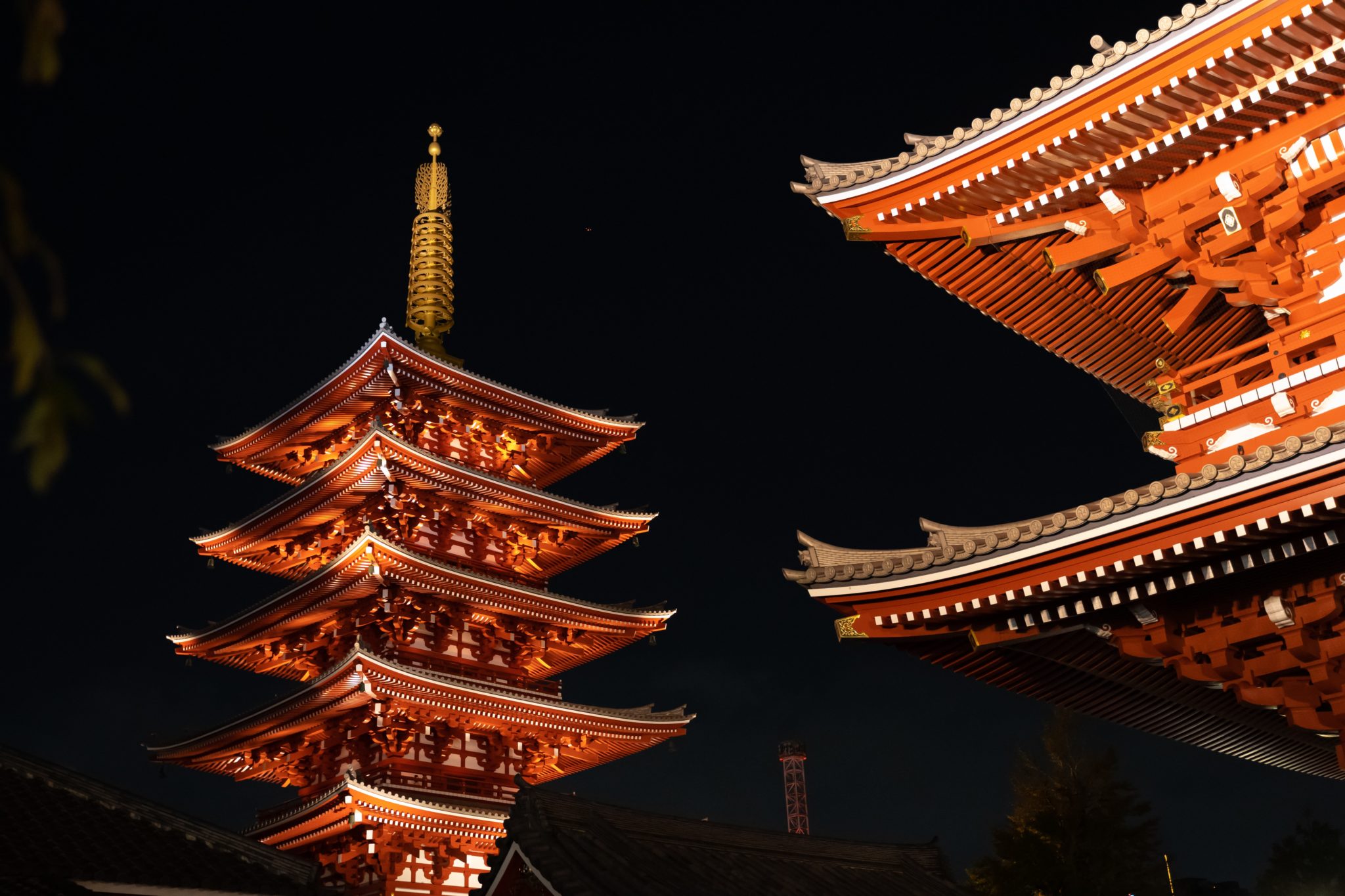 Houten pagoda's tonen aan dat houten gebouwen eeuwenlang kunnen meegaan