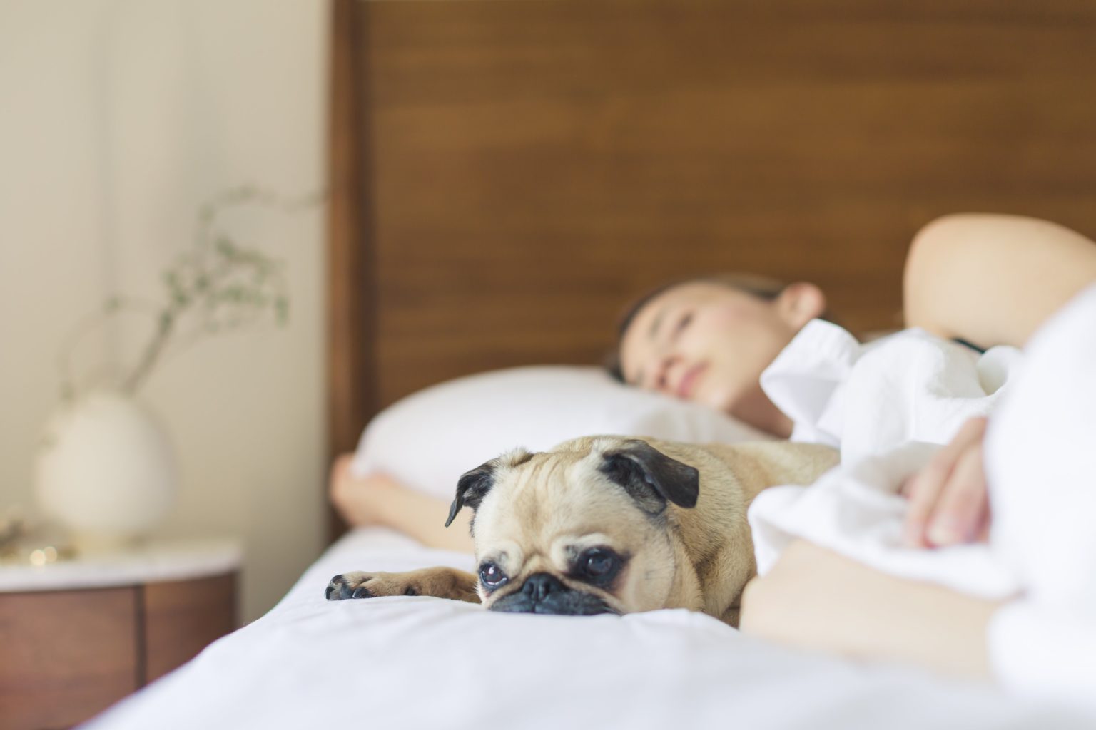 Slapende vrouw met hond in bed