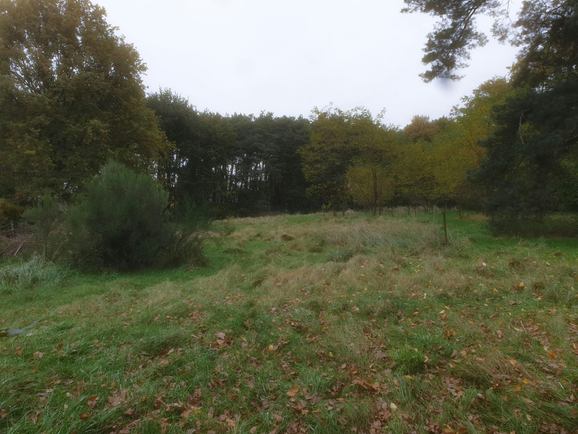 Bouwgrond Genk voor nieuwbouw woningen Kastertstraat