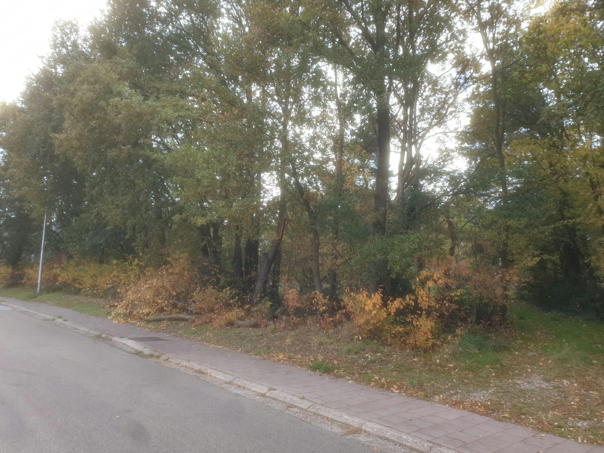 Bouwgrond Genk voor nieuwbouw woningen Kastertstraat