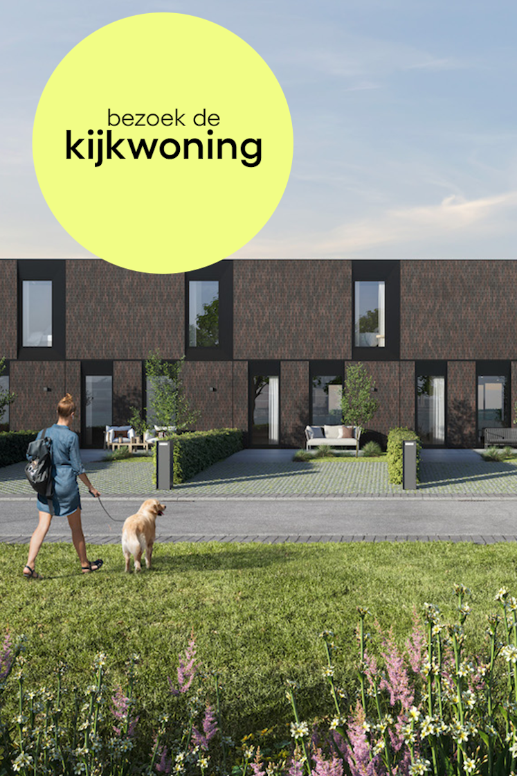 Skilpod nieuwbouw project op de Chocoladefabriek site in Tongeren, energiezuinige gezinswoningen