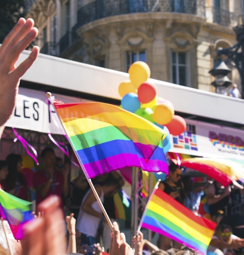 People waving rainbow flags on a street corner