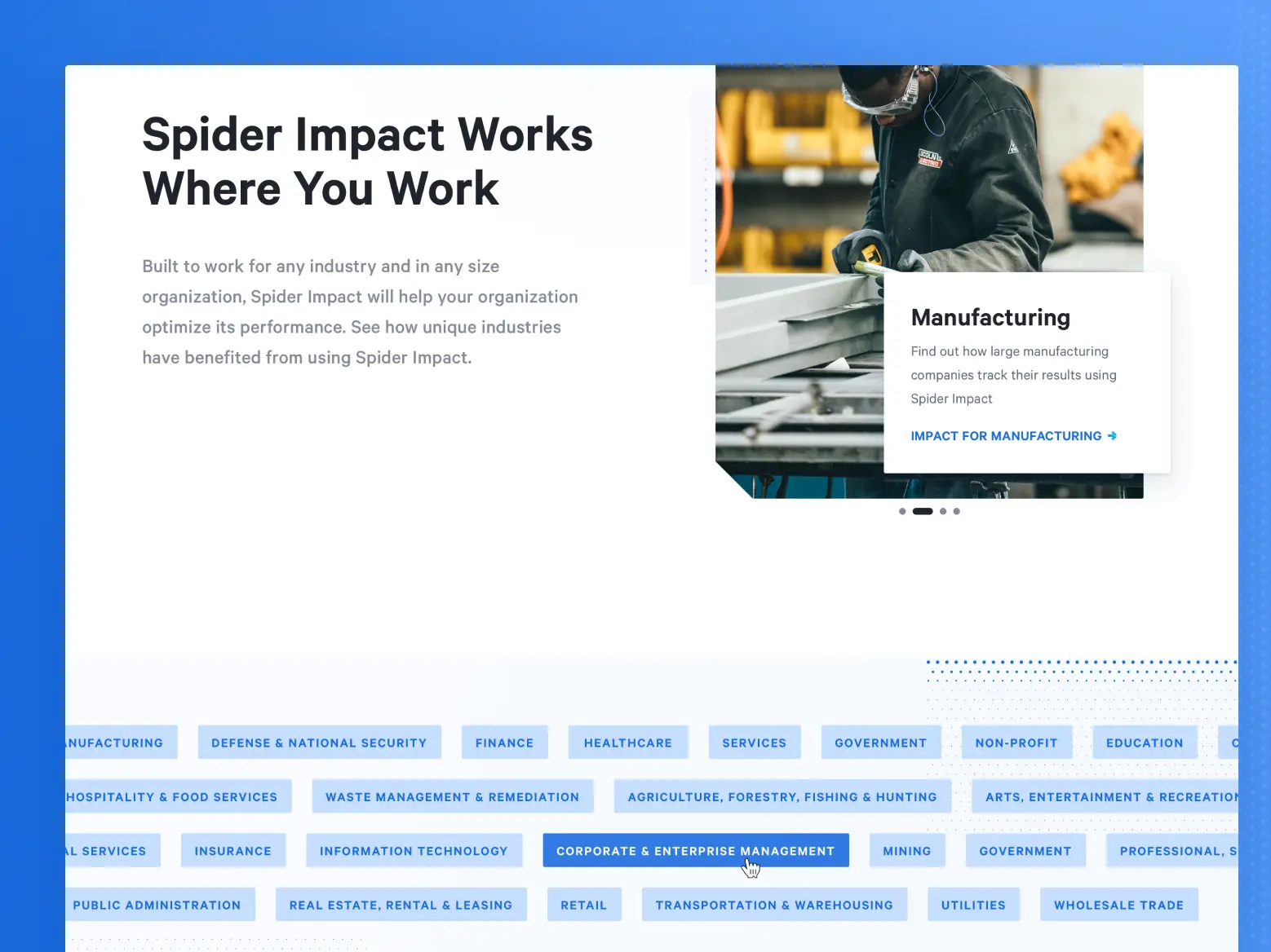 Spider Website