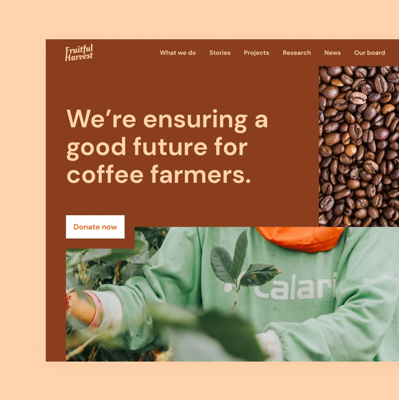 Non-profit website example