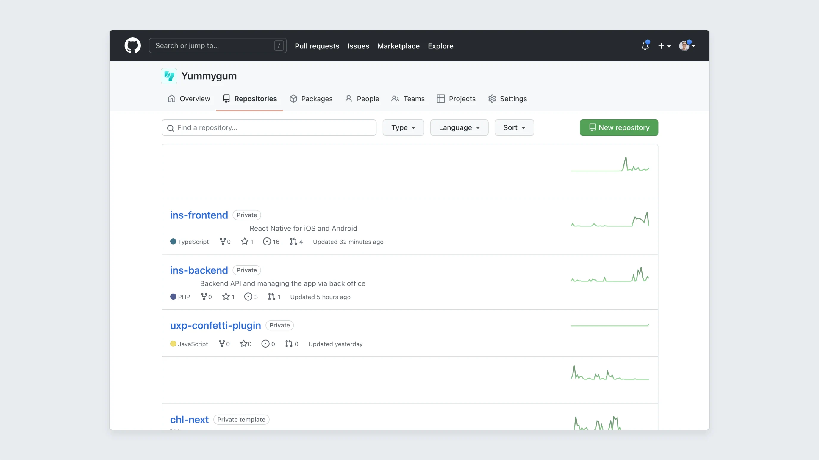 Github interface