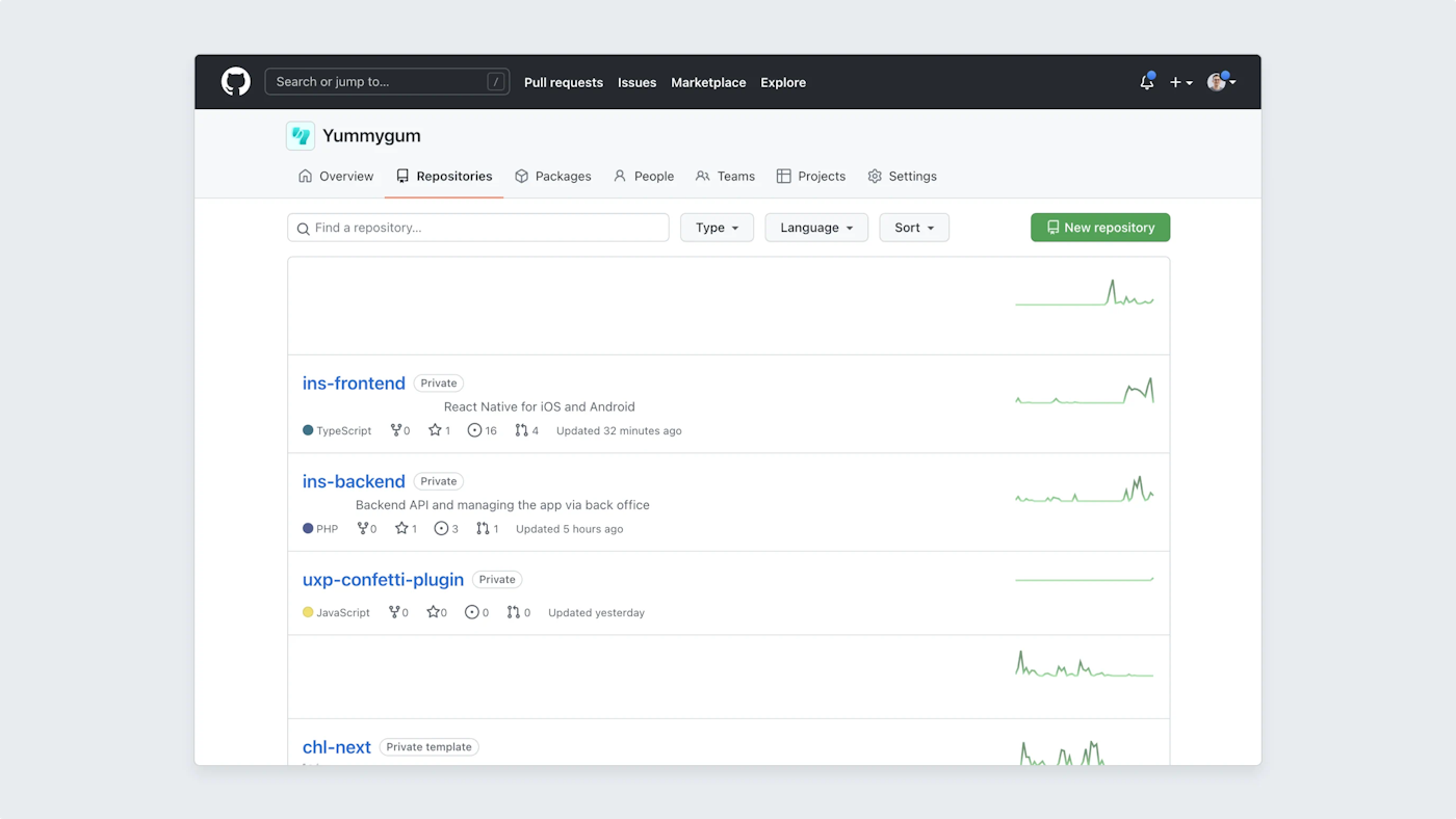 Github interface