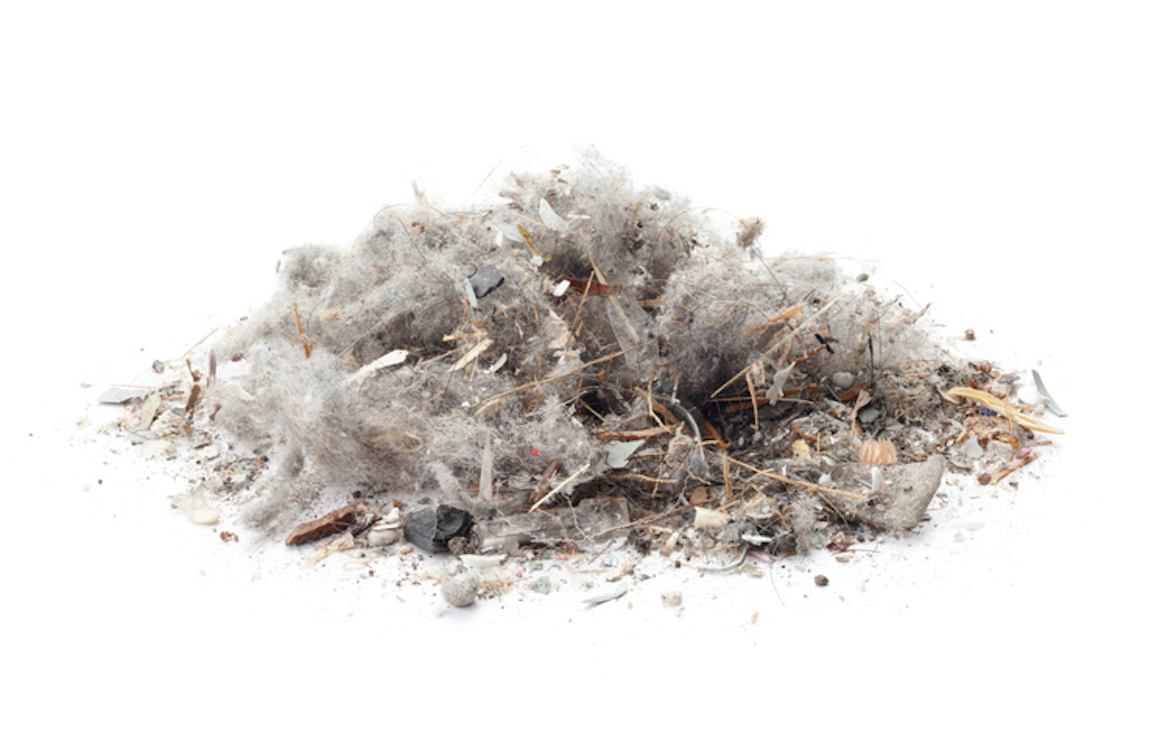 Allergens and Pet Dander