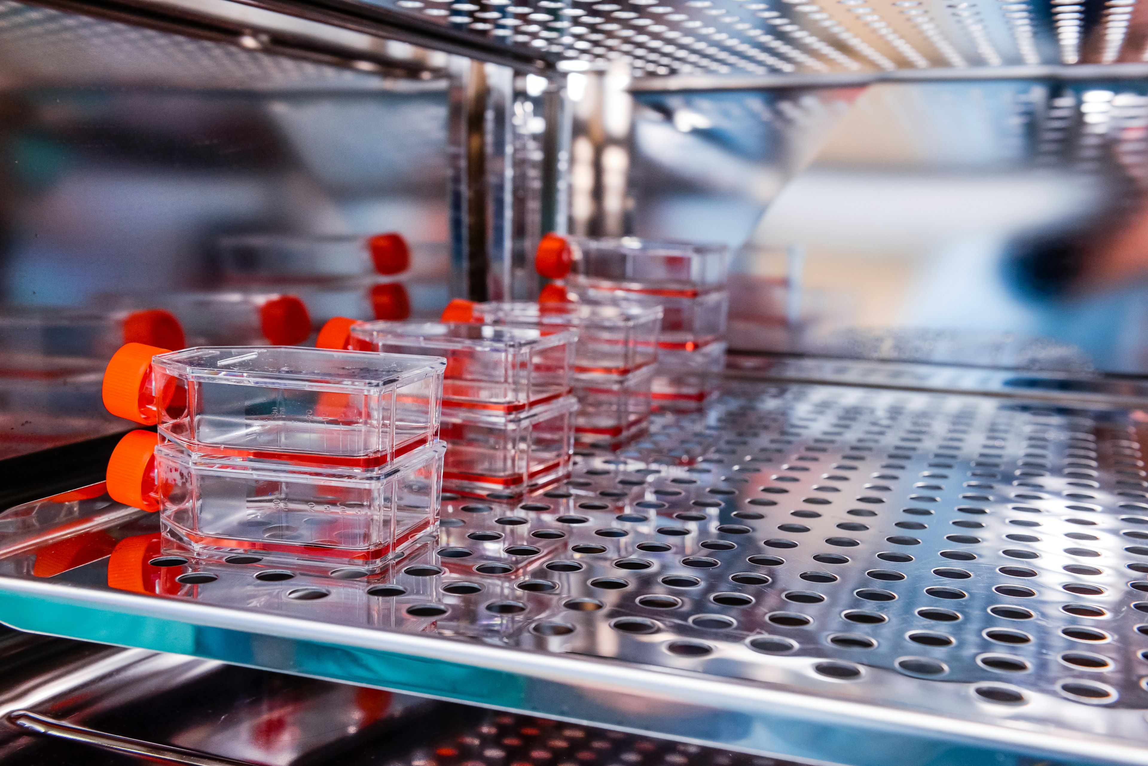 IVF Lab