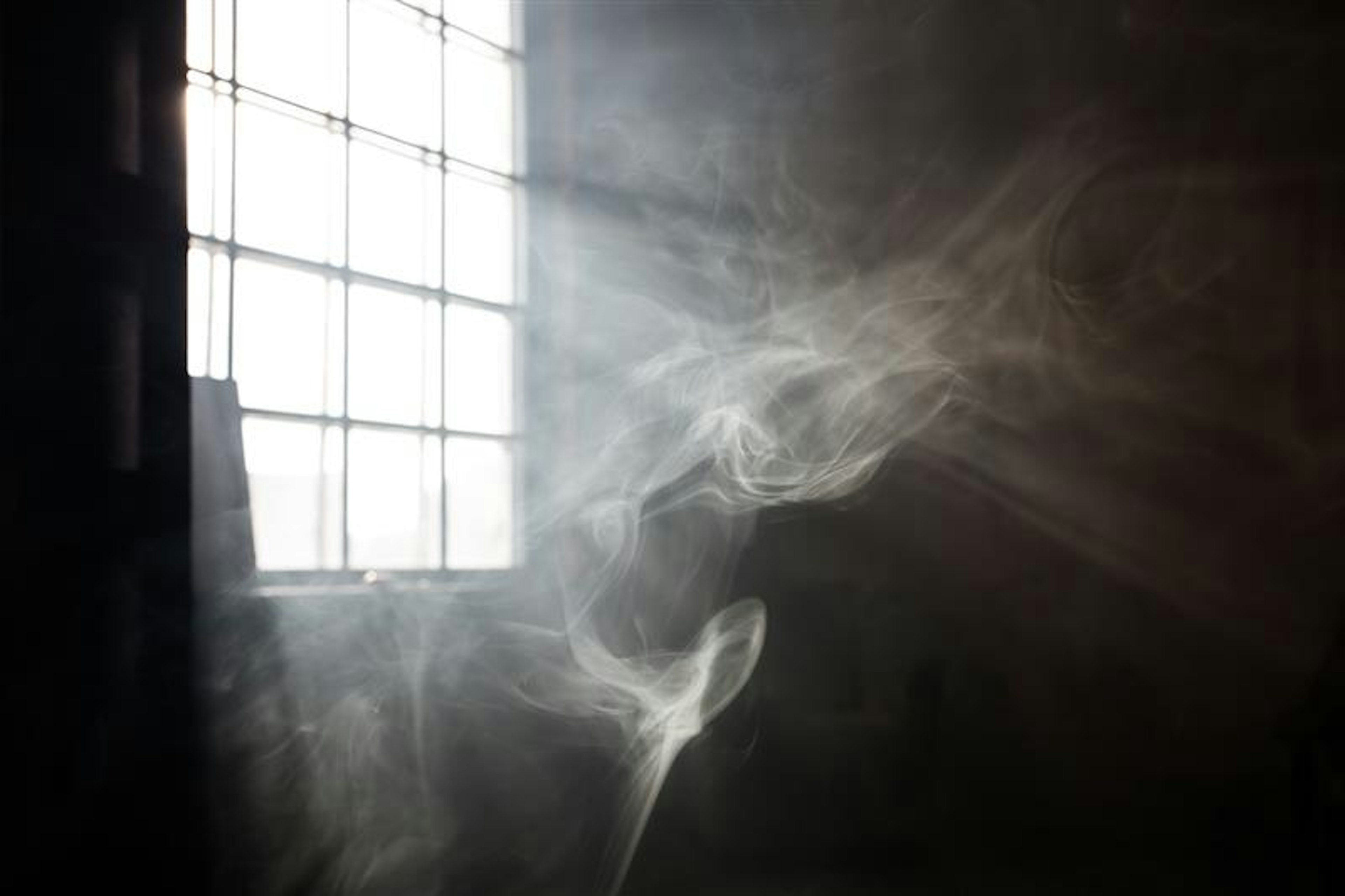 Toxic Air: Wildfire Smoke, VOCs