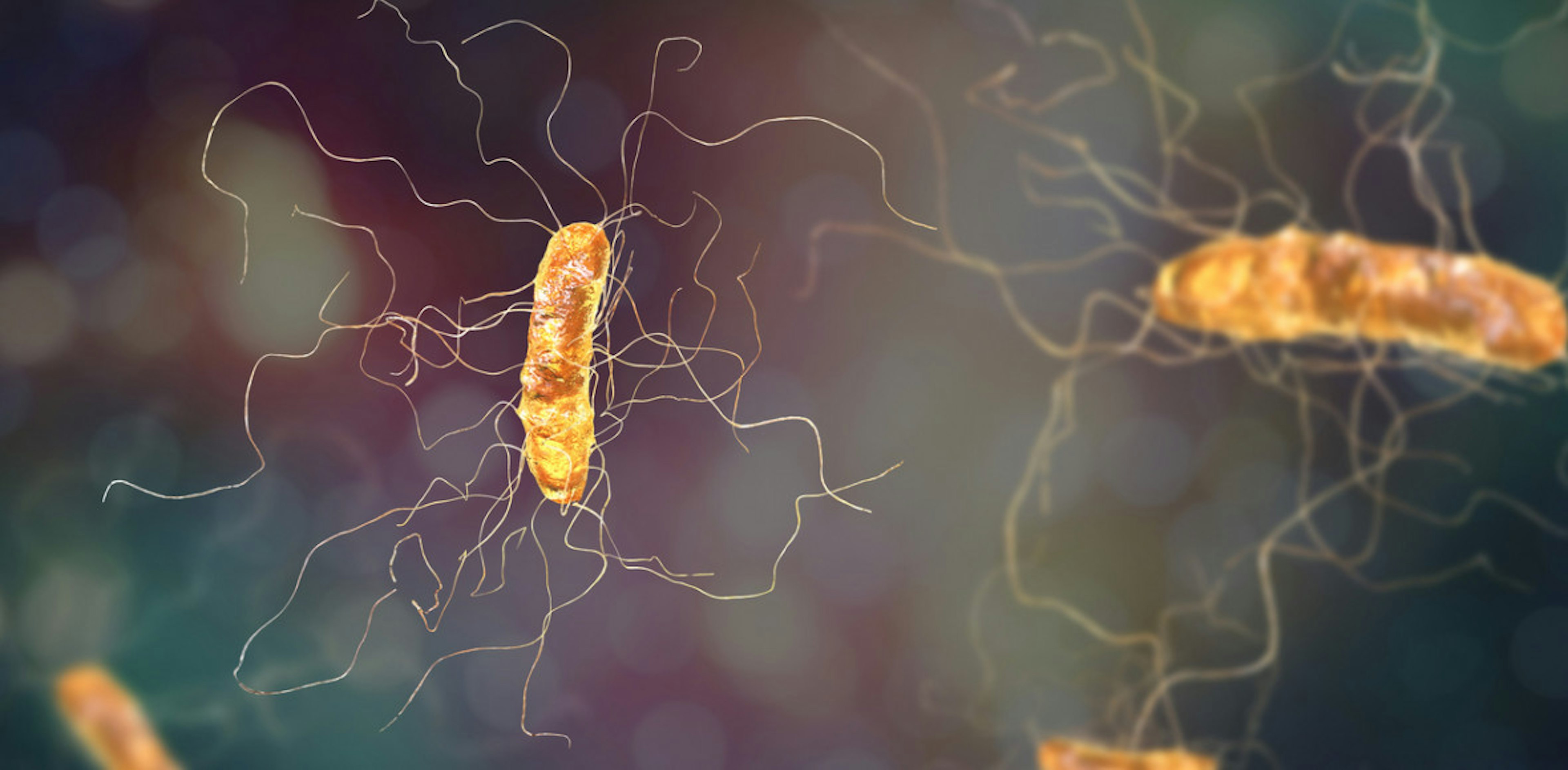 Superbug Bacteria