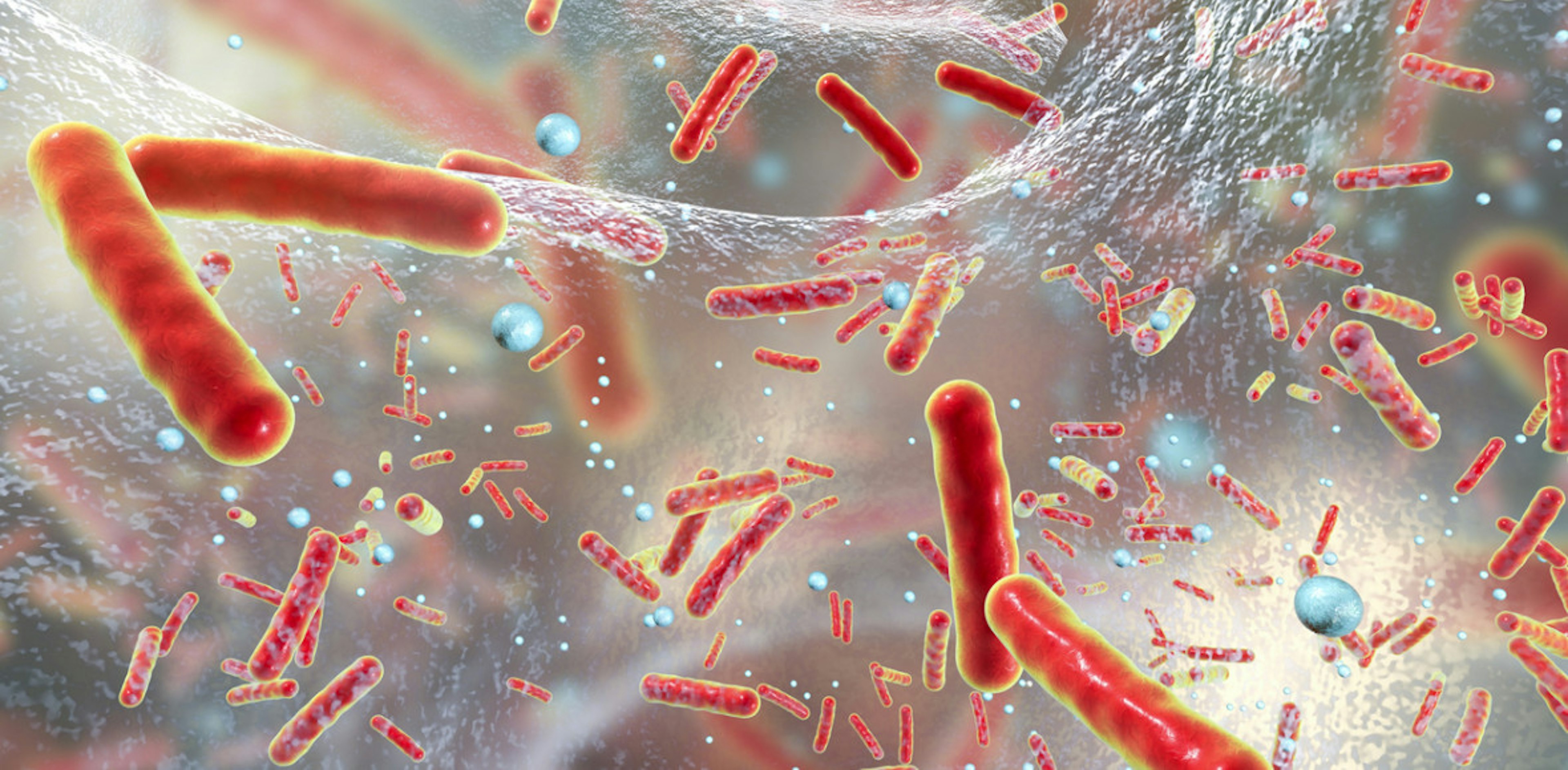 Superbug killers no longer respond to drugs.