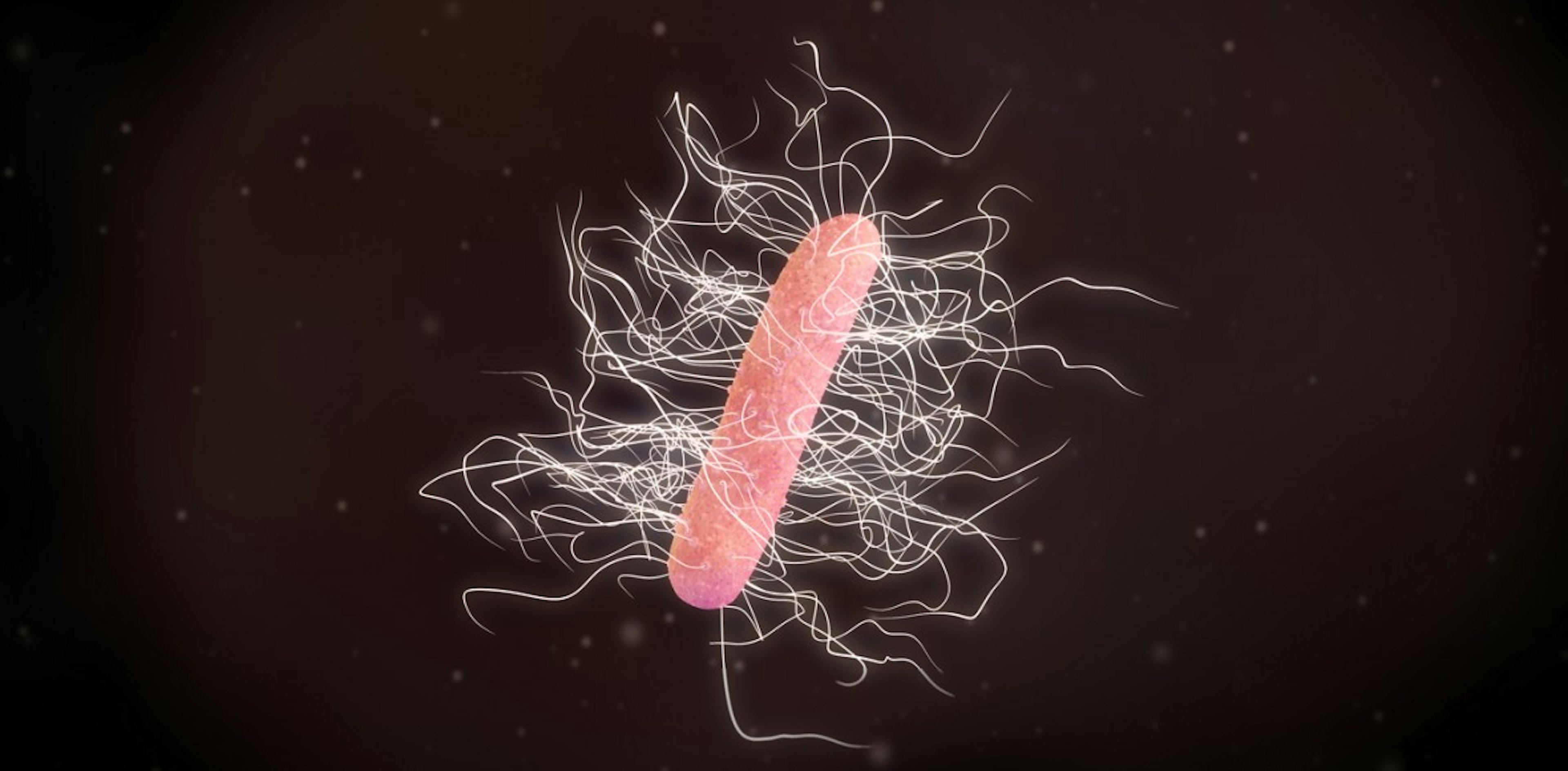 Clostridium difficile bacteria