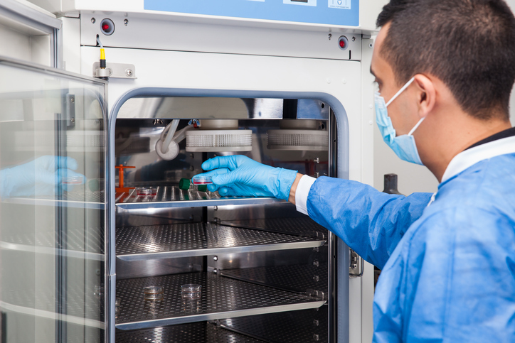 Worker in an IVF lab