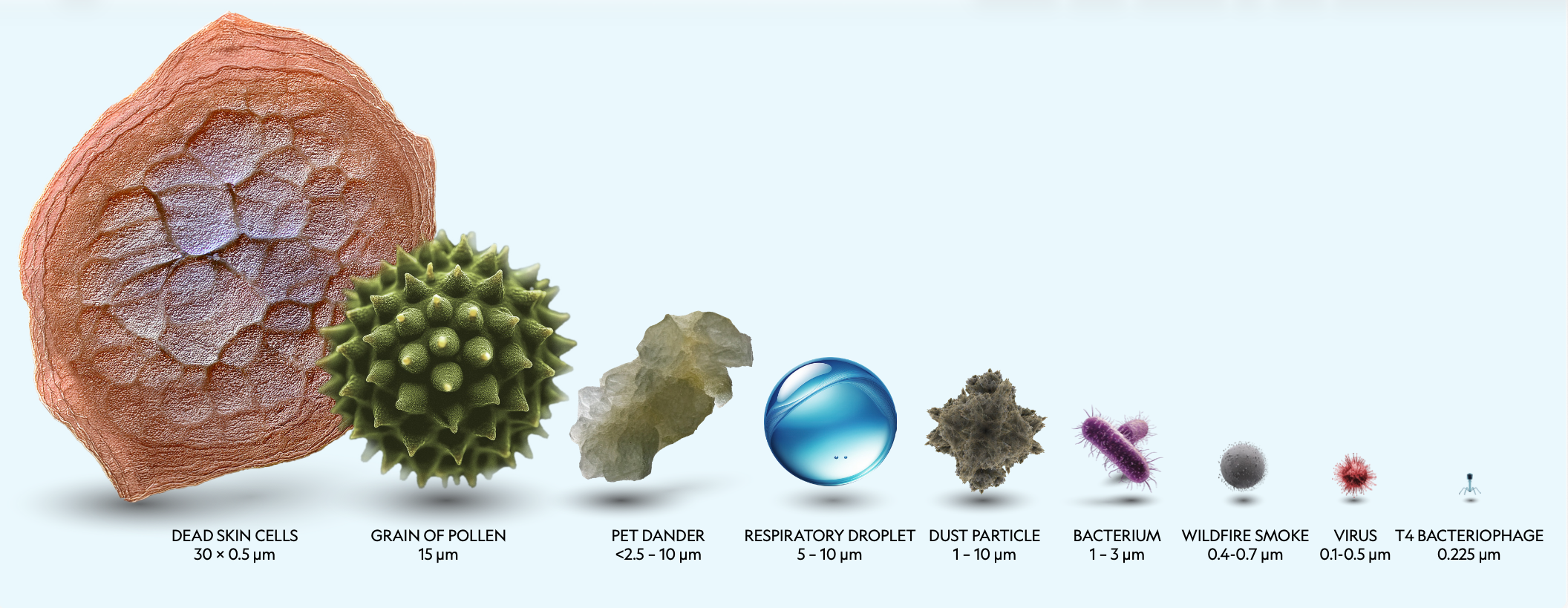 Bioaerosol particle sizes Bioaerosol particle sizes